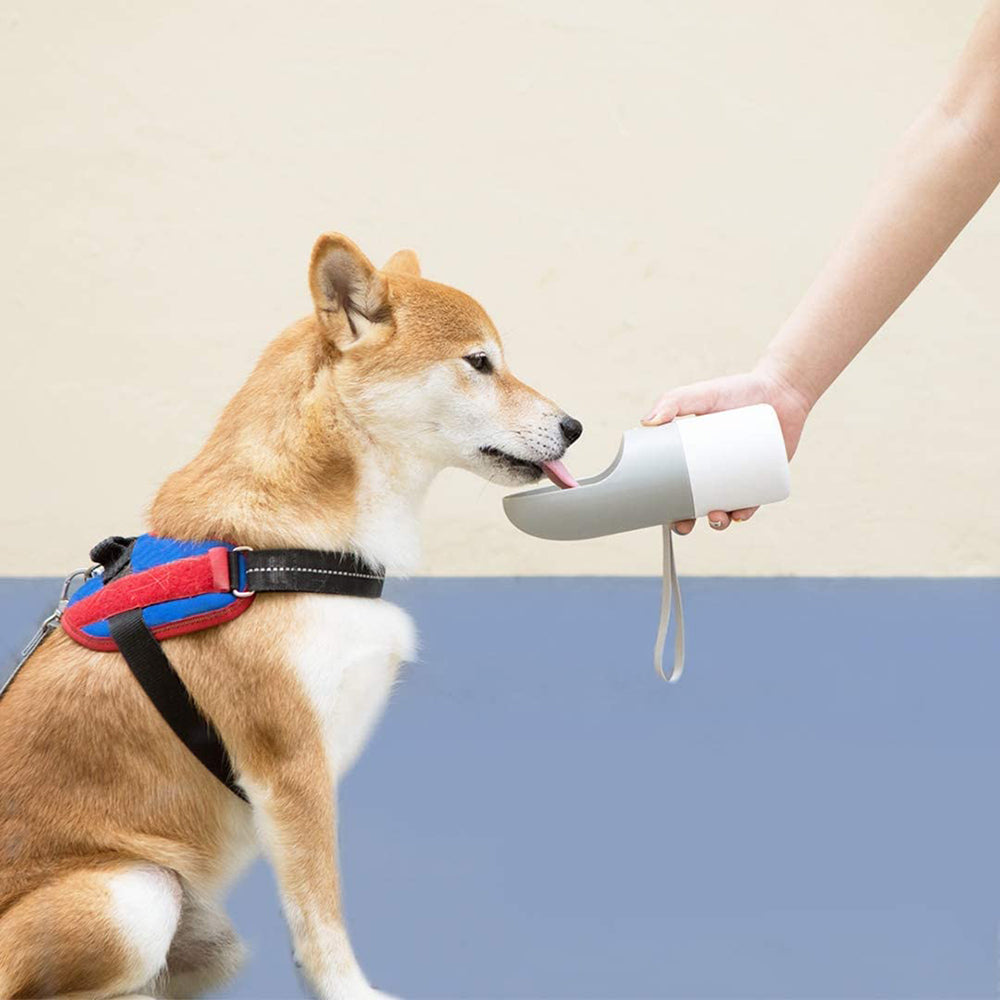 Instachew Rover – Tragbare Hundewasserflasche mit Futterbehälter
