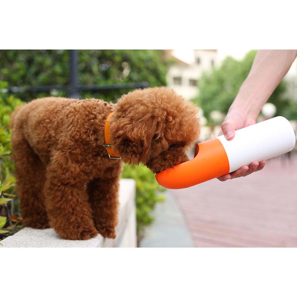Instachew Rover – Tragbare Hundewasserflasche mit Futterbehälter
